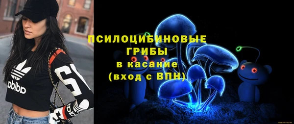 хмурый Михайлов